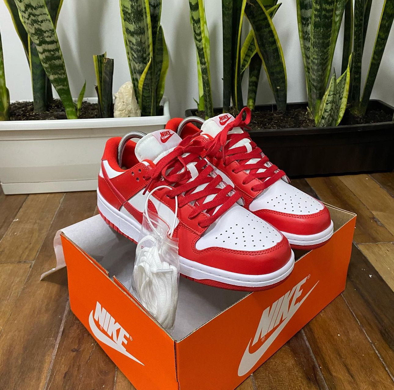 Nike Sb Dunk ROJA