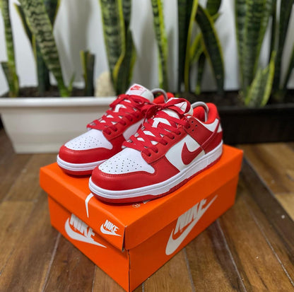 Nike Sb Dunk ROJA