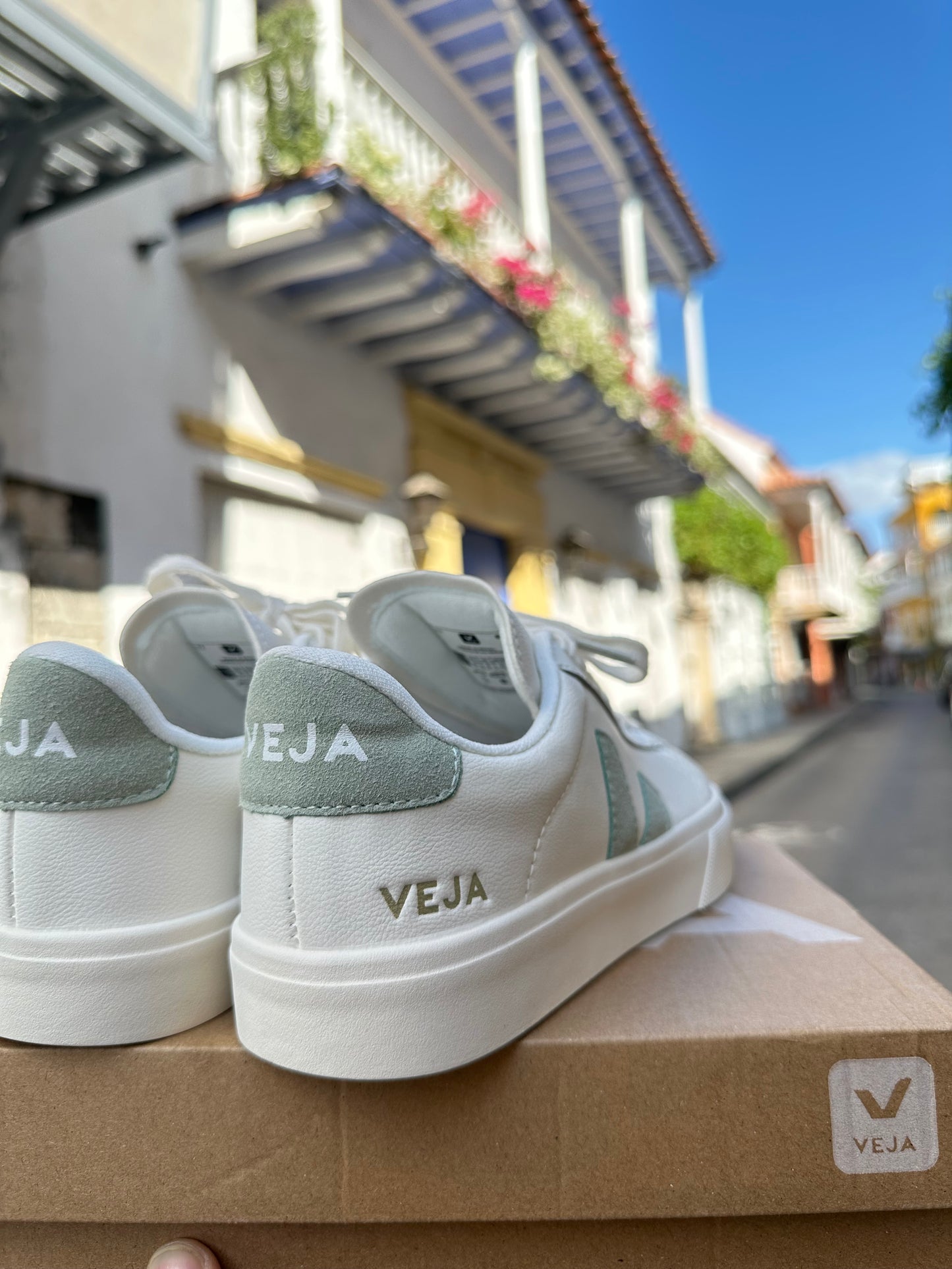 Tenis Veja Campo Verde Pastel