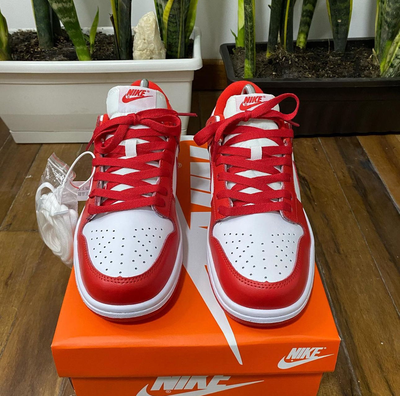 Nike Sb Dunk ROJA