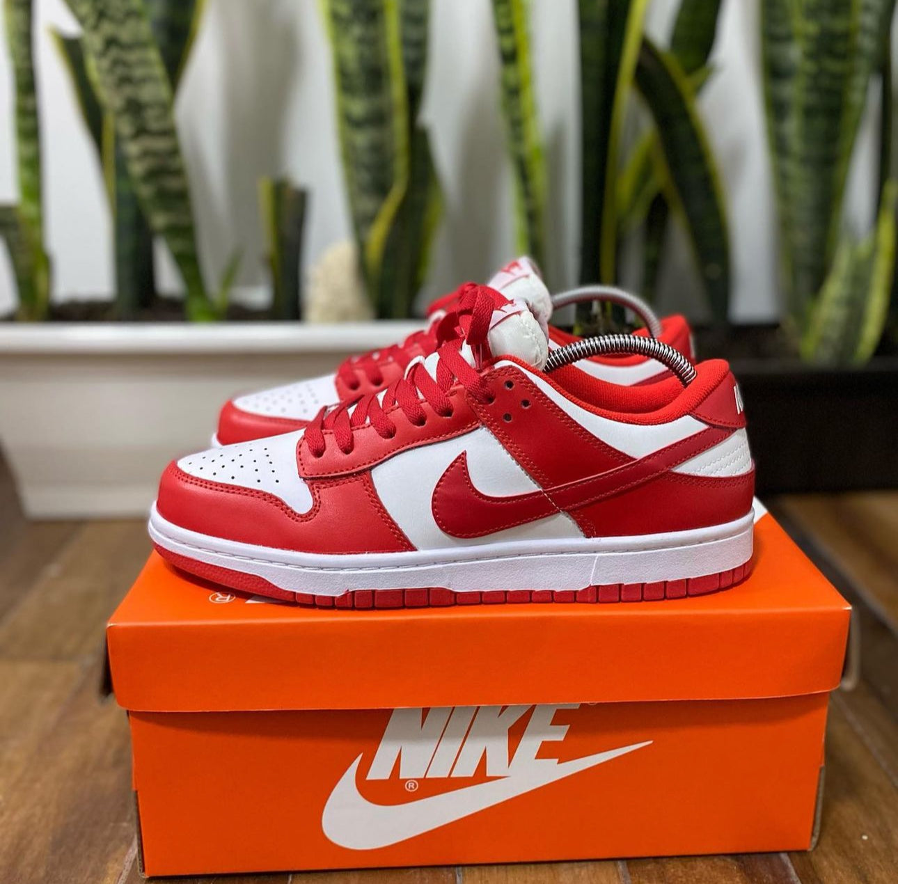 Nike Sb Dunk ROJA