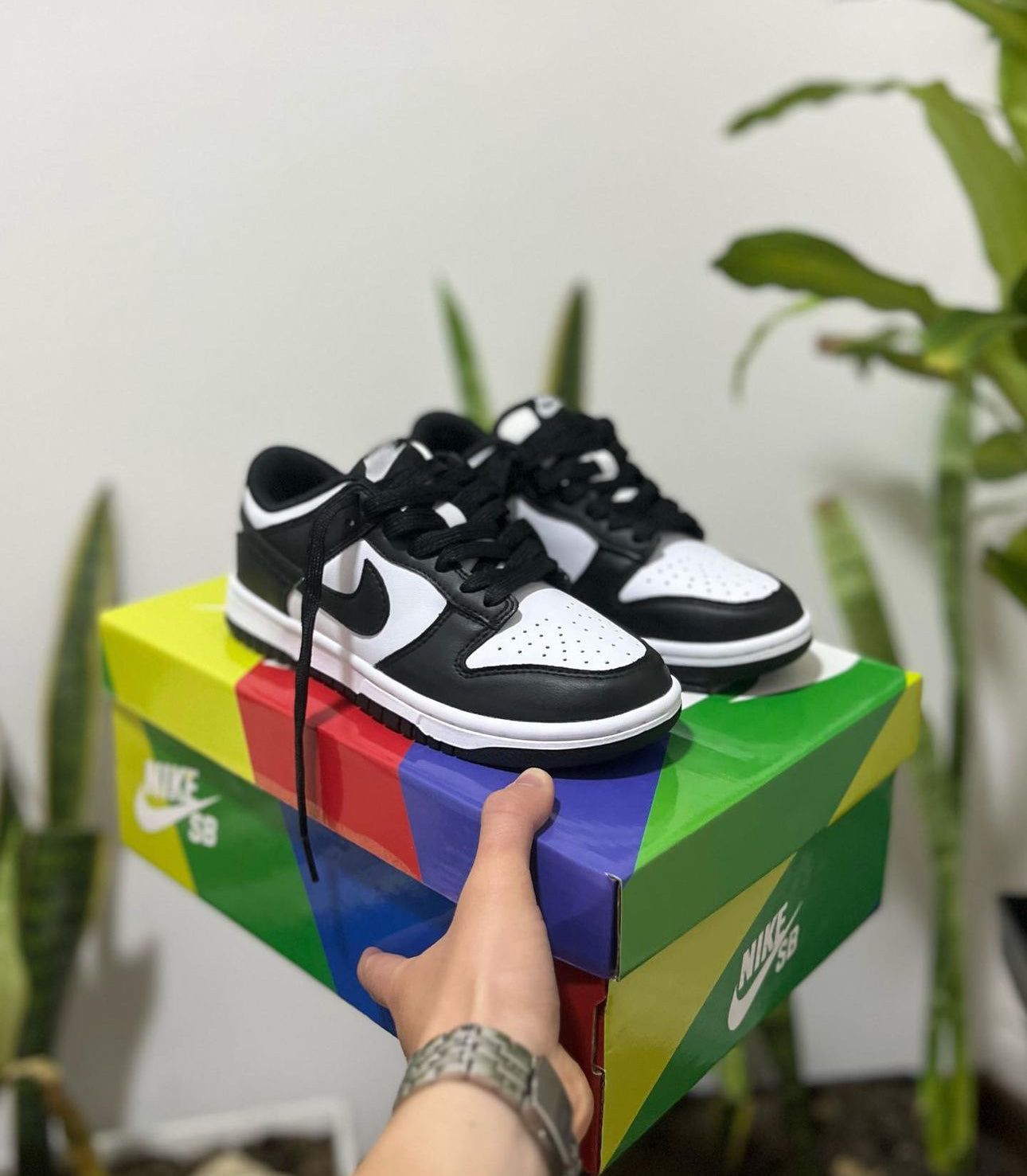 Nike Sb Dunk Negro