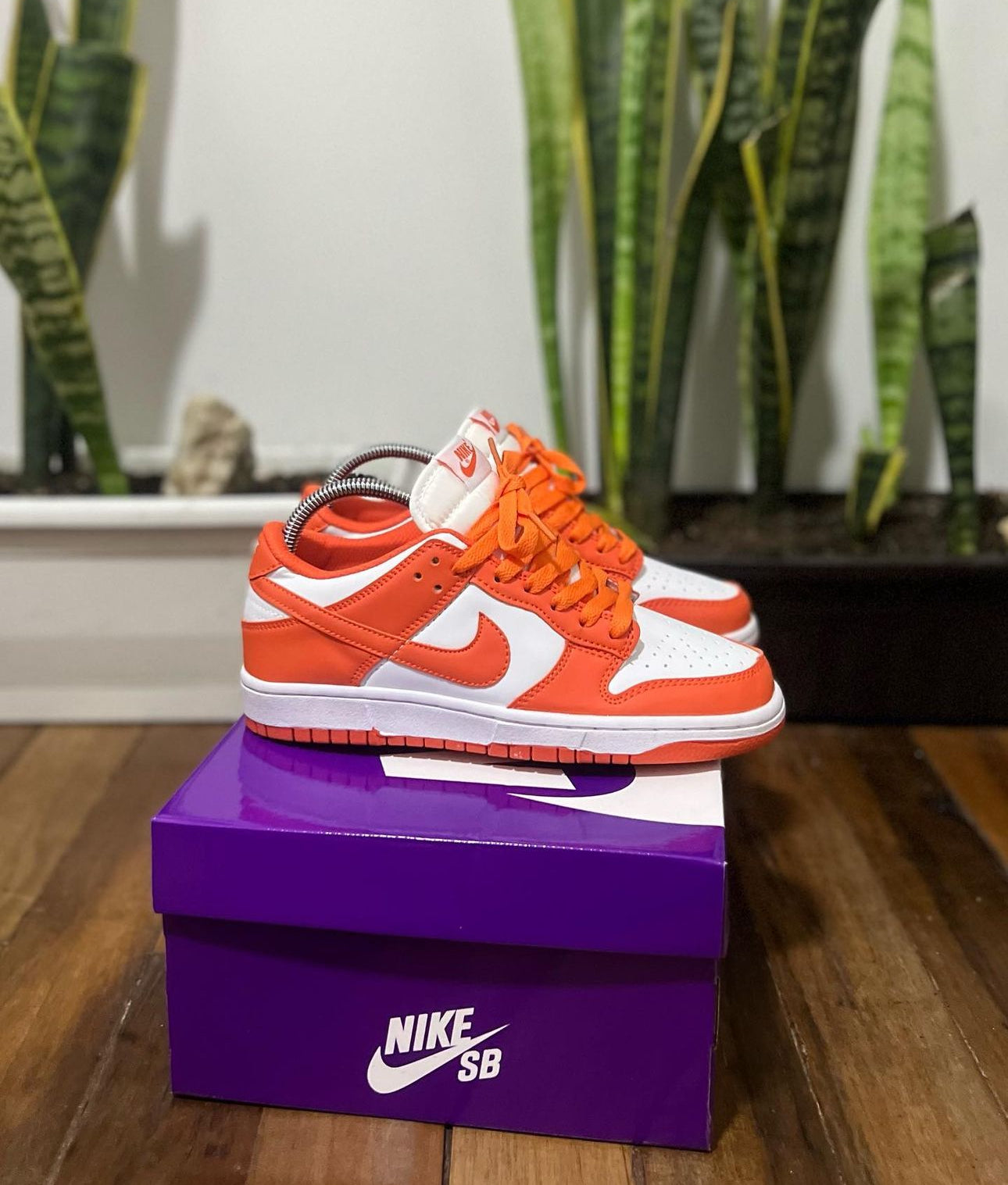 Nike Sb Dunk Naranja