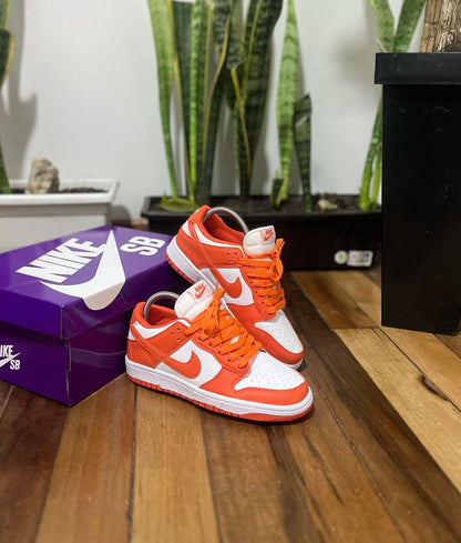 Nike Sb Dunk Naranja